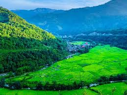 Ziro Valley, Arunachal Pradesh